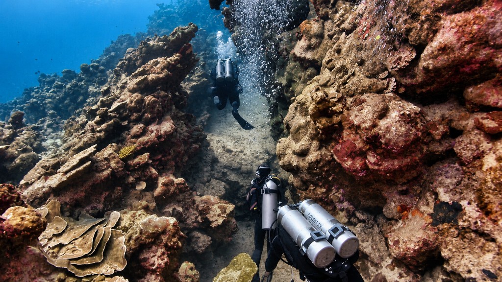 Divers in a Dahab canyon